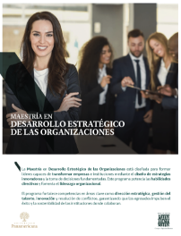maestria-en-Desarrollo-Estrategico-de-las-Organizaciones-portada-desarrollo-estrategico