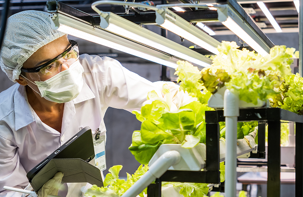 Especialidad-en-desarollo-e-innovacion-alimentaria-img4