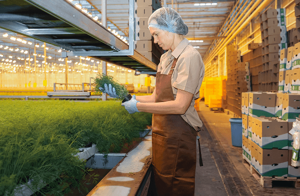 especialidad-en-desarrollo-en-negocios-agroalimentarios--ingresar