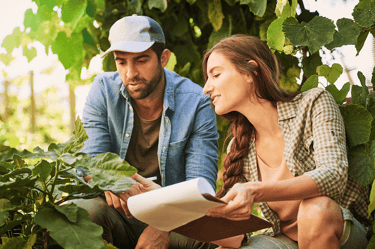 especialidad-en-desarrollo-en-negocios-agroalimentarios--retos
