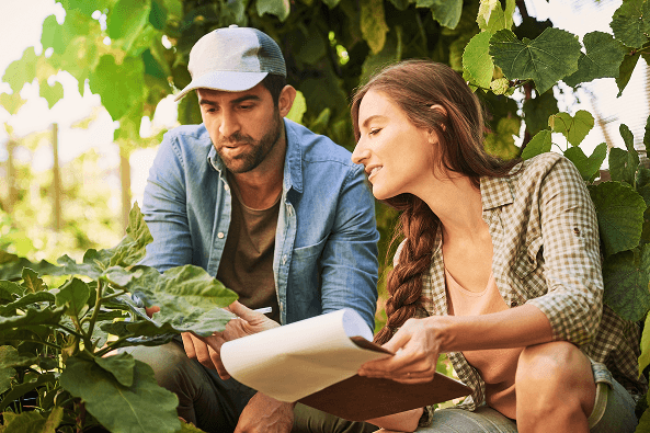 especialidad-en-desarrollo-en-negocios-agroalimentarios--retos