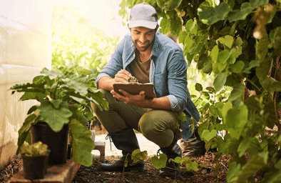 especialidad-en-desarrollo-en-negocios-agroalimentarios-area-de-especialidad