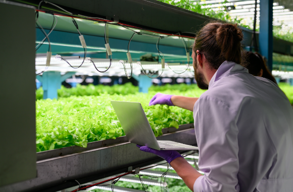 matesria-en-negocios-agroalimentarios-img-1