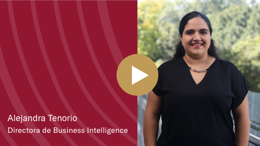 thumbnailbusiness-inteligence-upmx-ene25
