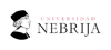 licenciatura-derecho-Universidad_Nebrija_logo 1