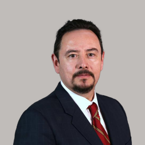 admision-internacional-up-Manuel-Magana